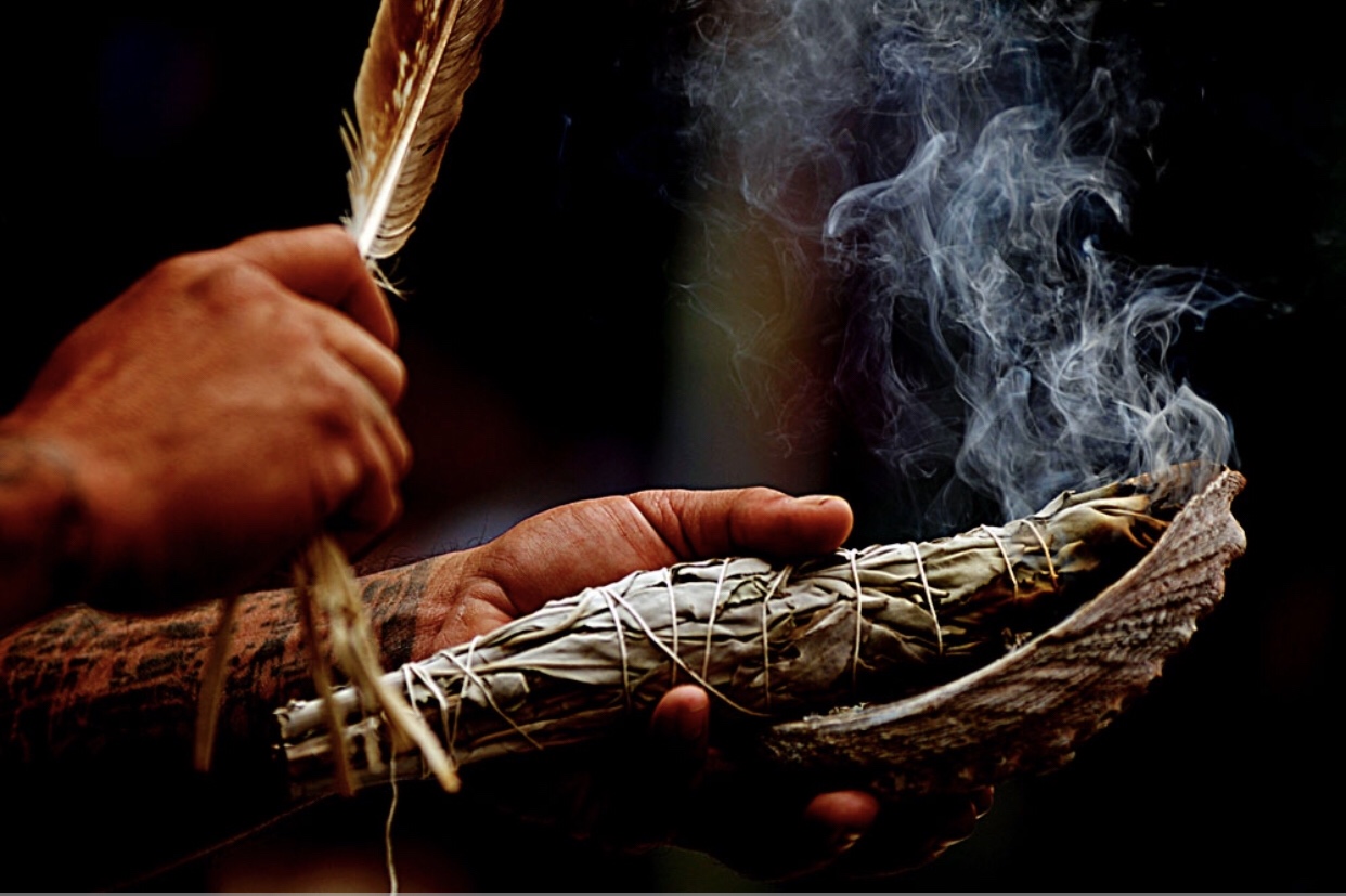 Sage Essential Oil