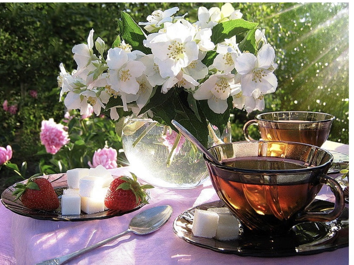 Spring Seasonal Wellness- A Cup of Tea